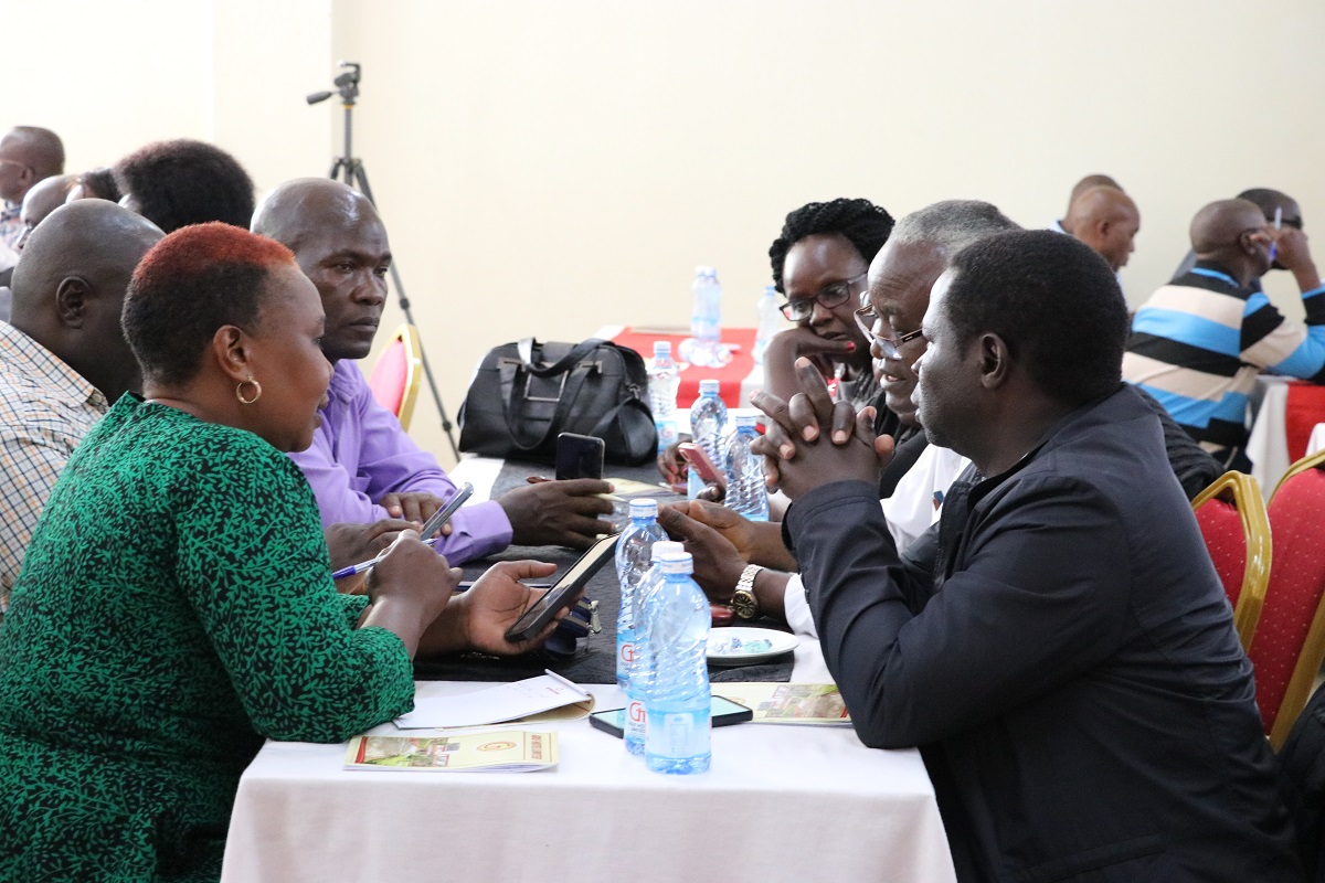 Teachers and professionals collaborating at a CEMASTEA workshop